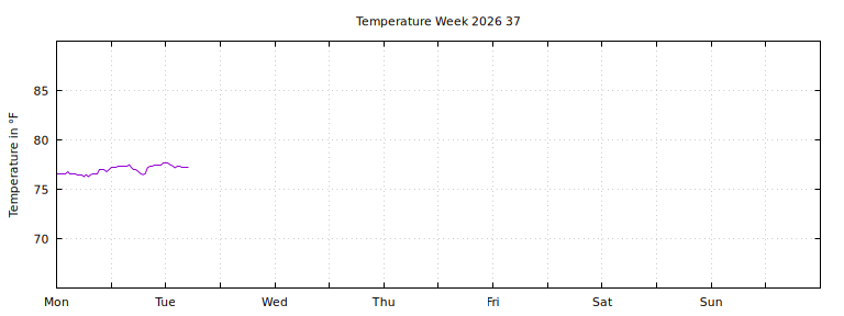 [Temperature this week graph]