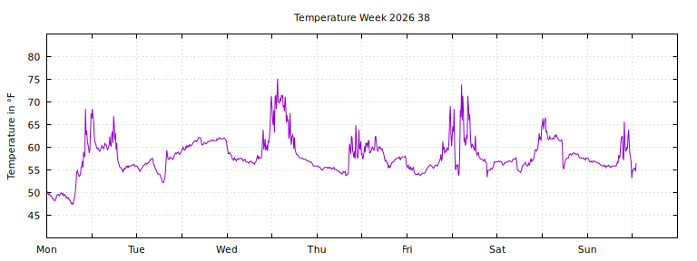 [Temperature this week graph]