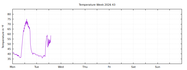 [Temperature this week graph]