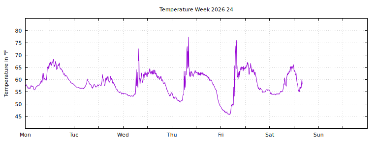 [Temperature this week graph]