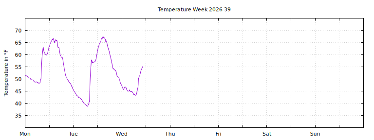 [Temperature this week graph]