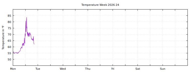 [Temperature this week graph]