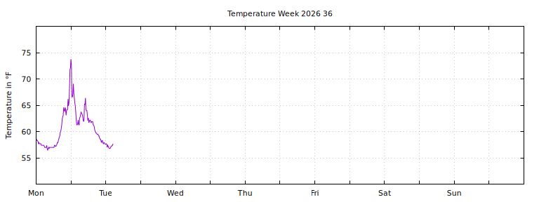 [Temperature this week graph]