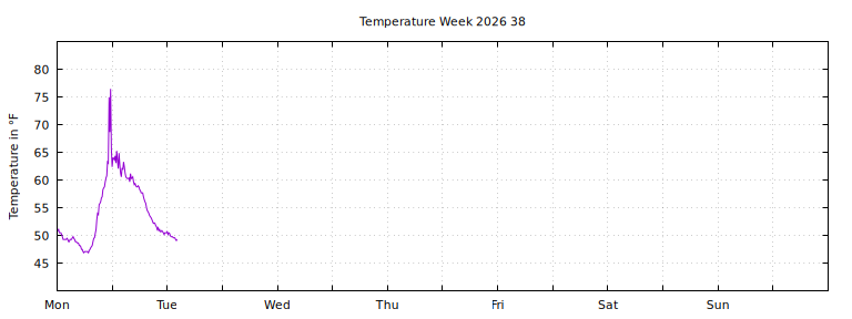 [Temperature this week graph]