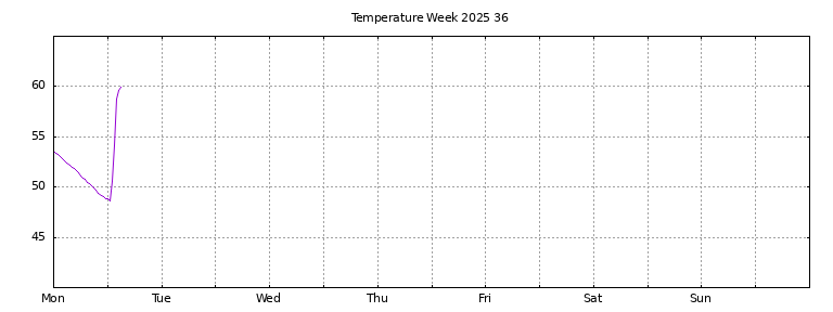 [Temperature this week graph]