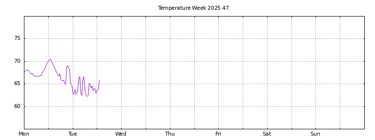 [Temperature this week graph]