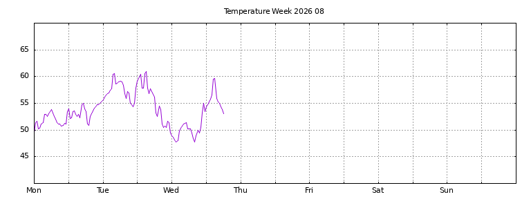 [Temperature this week graph]