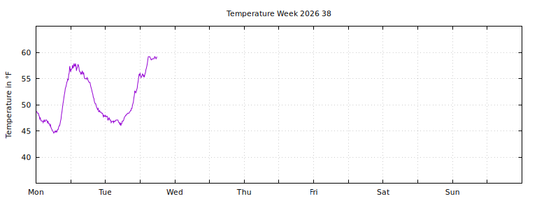 [Temperature this week graph]