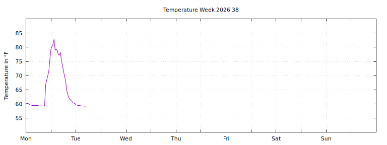 [Temperature this week graph]